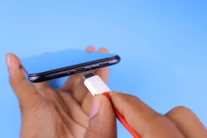 PlayLeon Casino Farsímaforrit